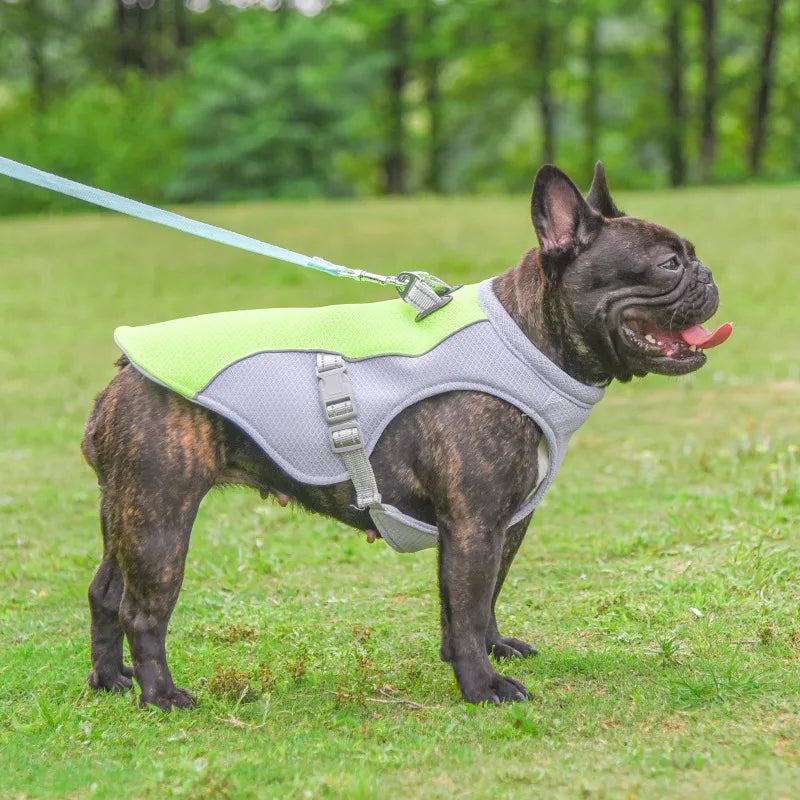 Dog Cooling Vest Heat Resistant Cool Dogs